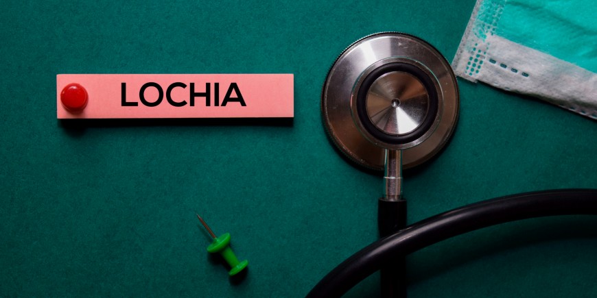 Лохии: что это такое